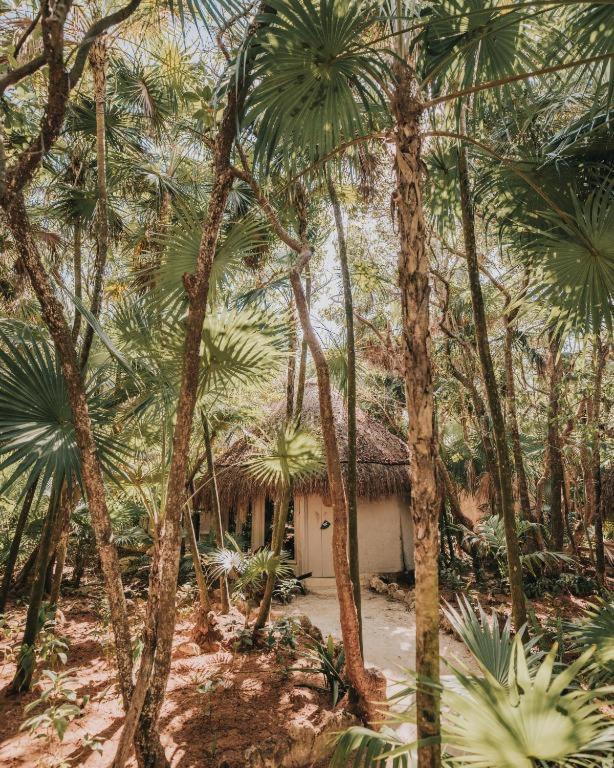 Art Village Tulum Extérieur photo
